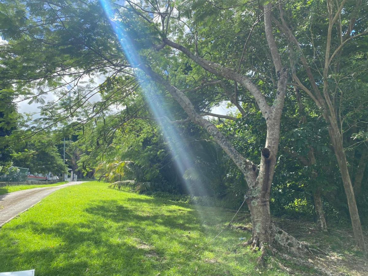 The Serene House Bed & Breakfast Luquillo Exterior foto