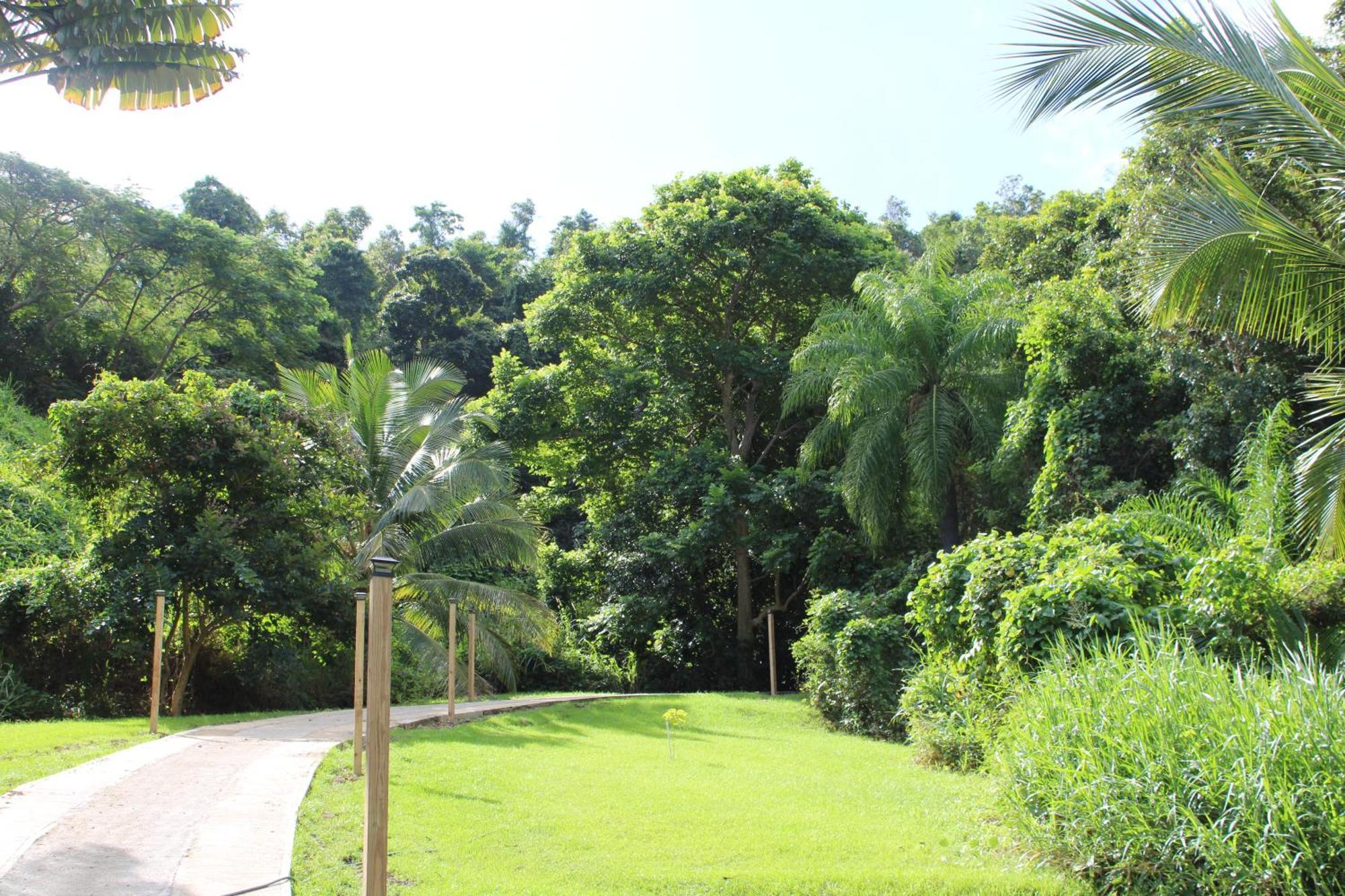 The Serene House Bed & Breakfast Luquillo Exterior foto