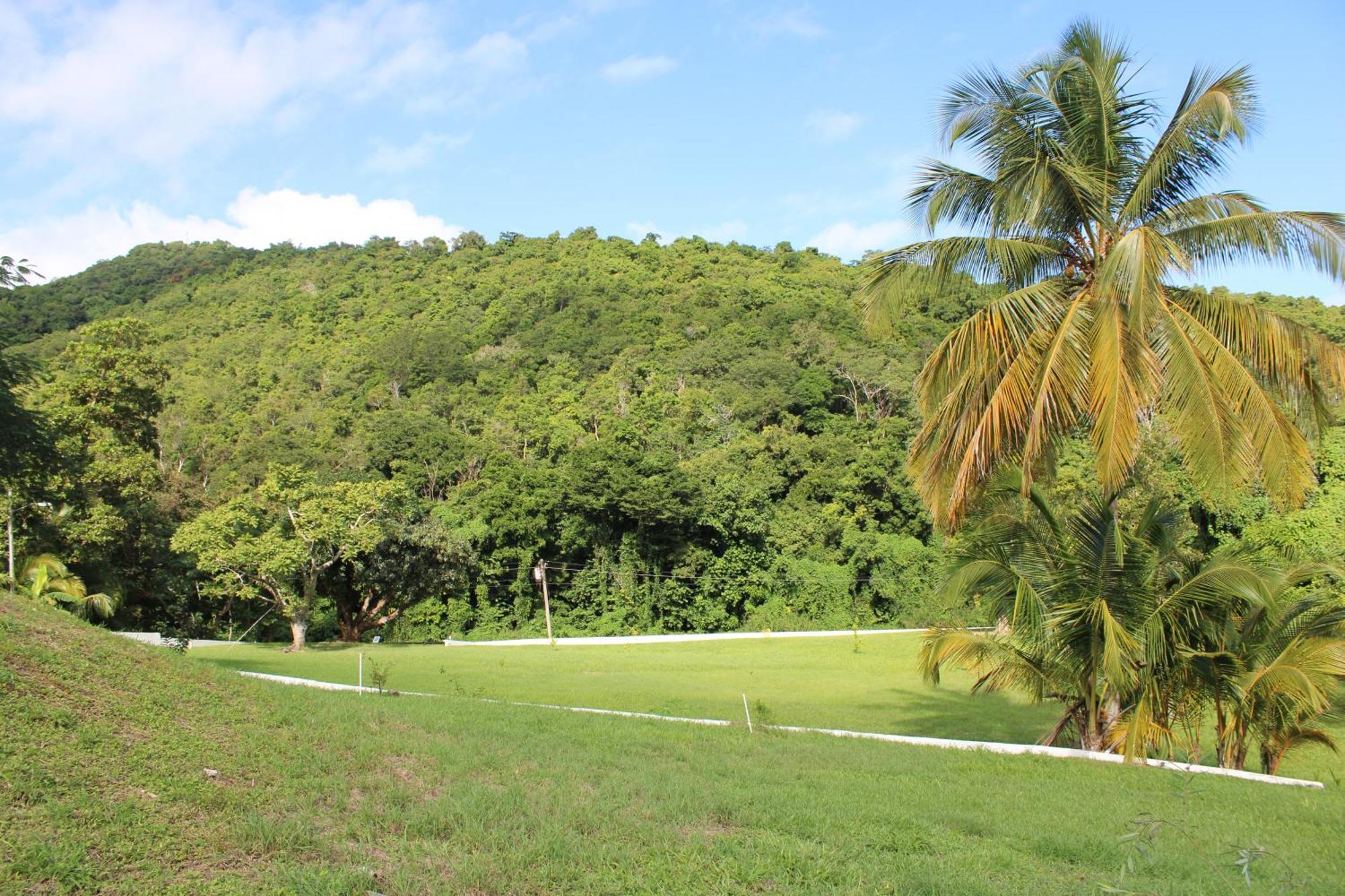 The Serene House Bed & Breakfast Luquillo Exterior foto