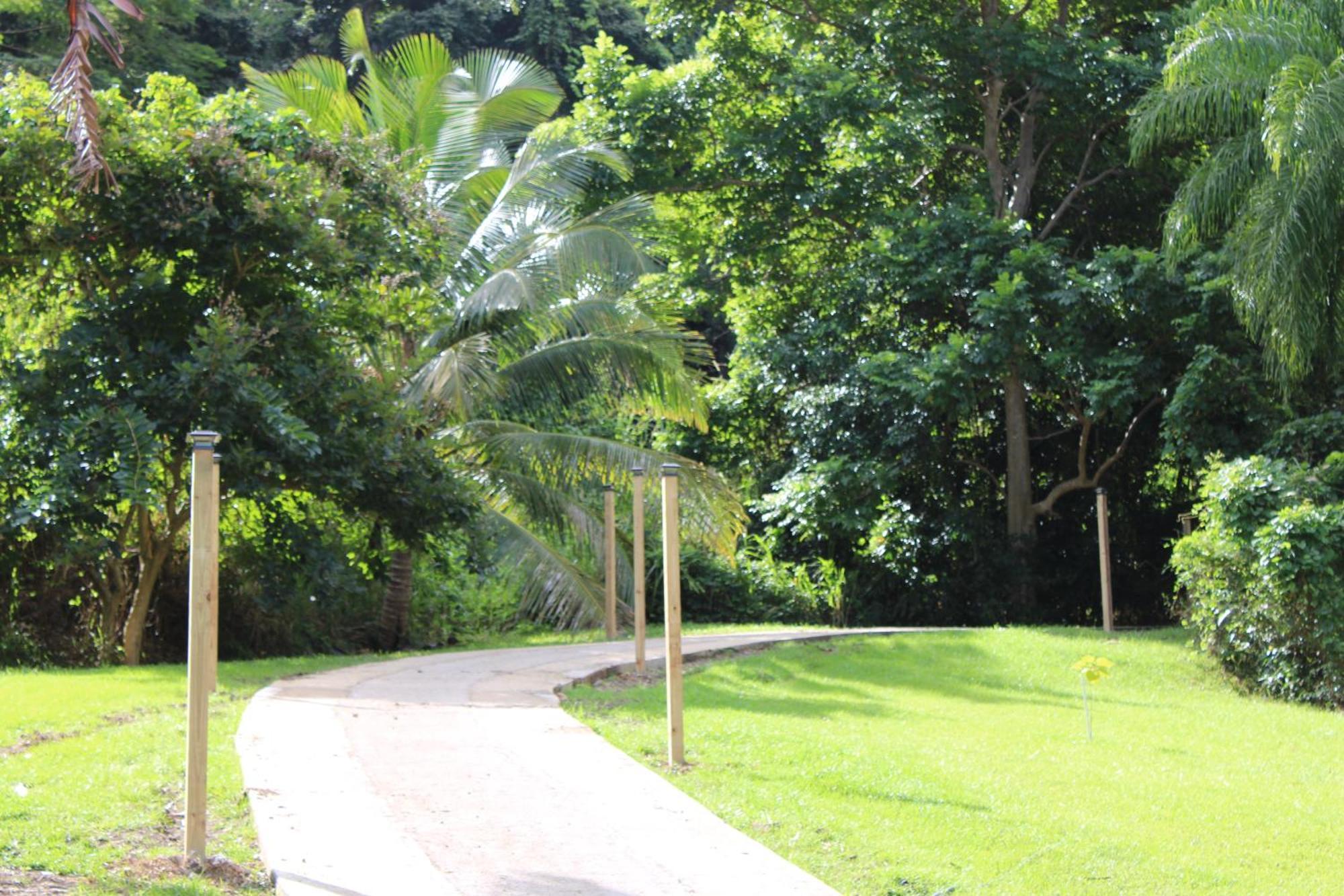 The Serene House Bed & Breakfast Luquillo Exterior foto