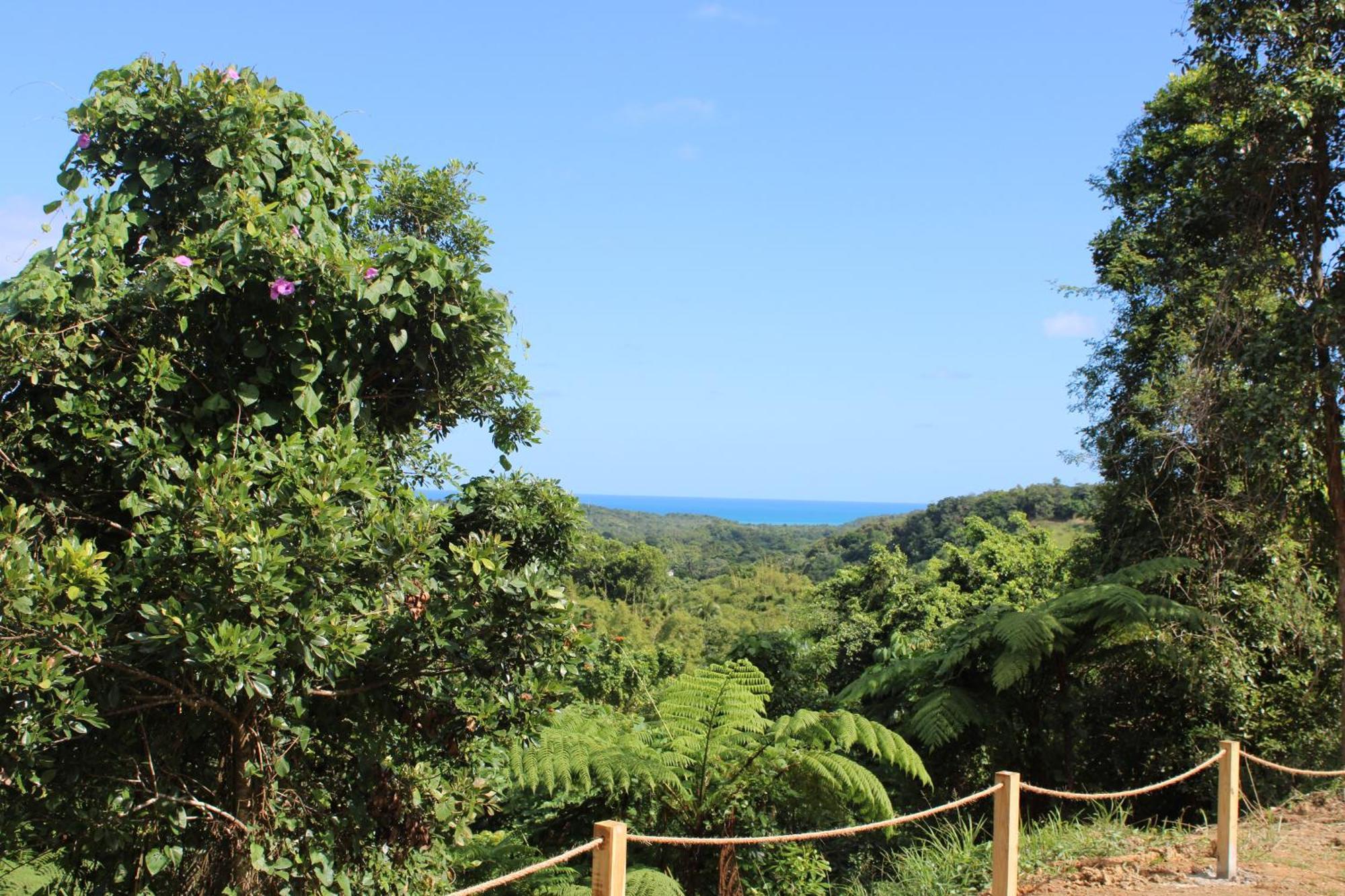 The Serene House Bed & Breakfast Luquillo Exterior foto