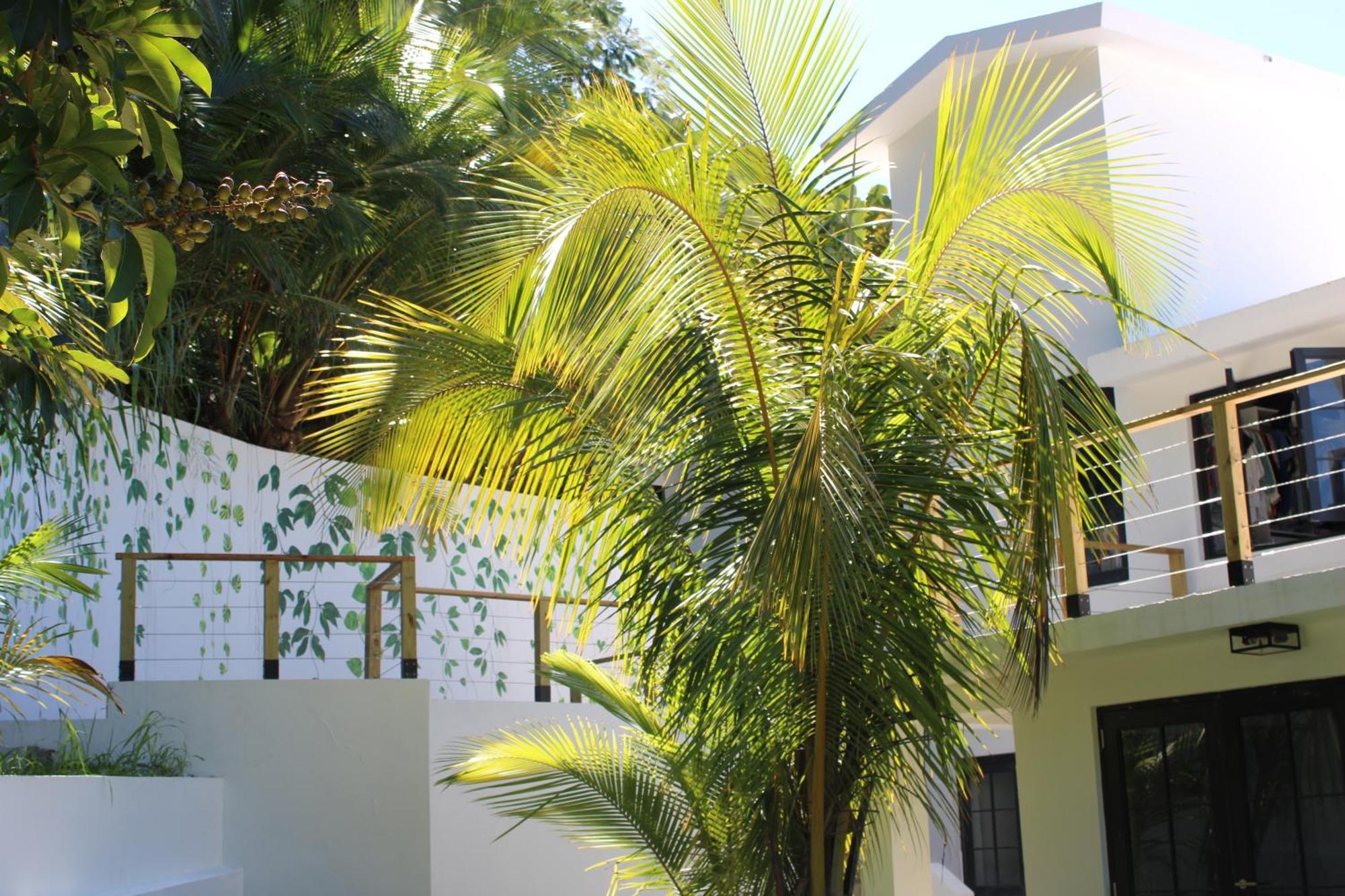 The Serene House Bed & Breakfast Luquillo Exterior foto
